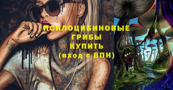 эйфоретик Осинники