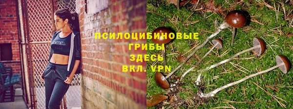 эйфоретик Осинники