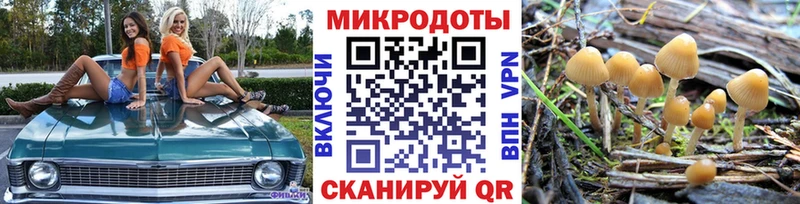 hydra ссылка  Курчатов  Галлюциногенные грибы Psilocybe 
